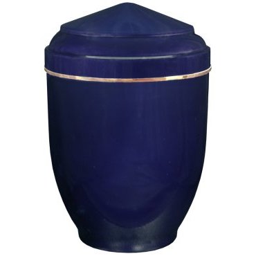 UMT1 BLEU
