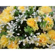 Fleurs